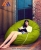 ghế lười hình giọt nước